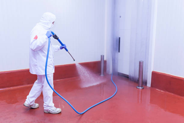 Best Roof Washing  in Junction City, OR