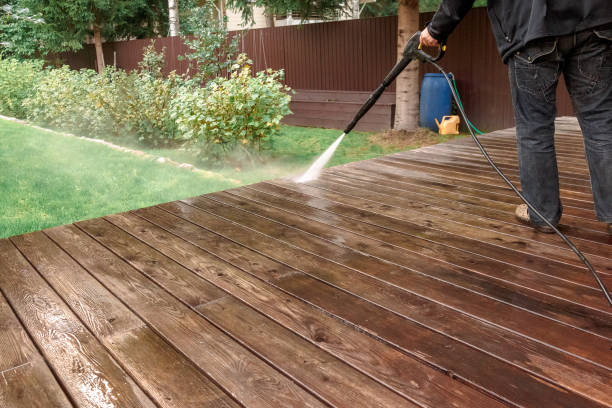 Best Pre-Holiday Cleaning  in Junction City, OR