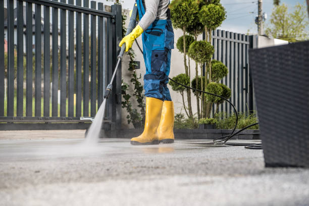 Best Fence Cleaning  in Junction City, OR